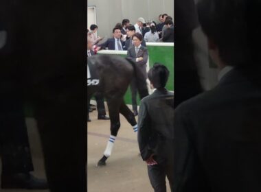 【NHKマイルカップ】3人気ダイヤモンドノットが敗れた後の福永調教師の様子