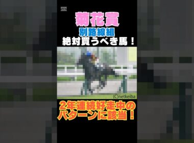 【菊花賞2025】別路線組から絶対買うべき馬！2年連続好走中のパターンに該当！ #菊花賞 #競馬予想 #ゲルチュタール