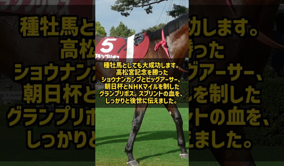 1400m以下で12戦11勝 なぜサクラバクシンオーは短距離だけ規格外だったのか #Shorts