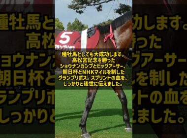 1400m以下で12戦11勝 なぜサクラバクシンオーは短距離だけ規格外だったのか #Shorts