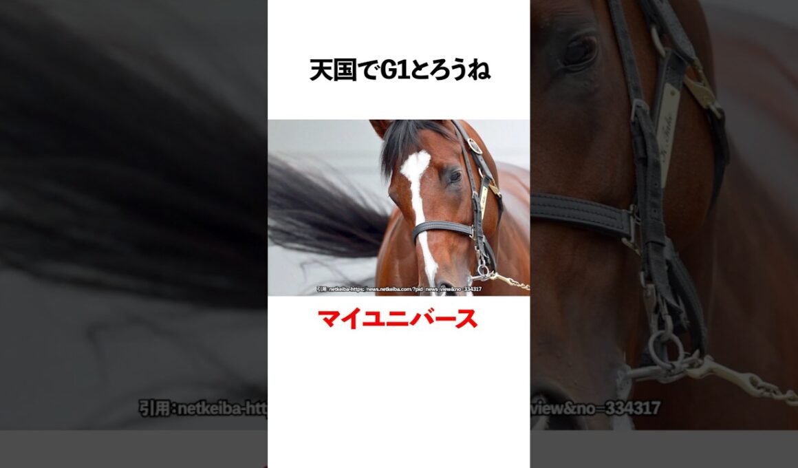 天国でG1とろうね マイユニバース