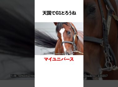 天国でG1とろうね マイユニバース