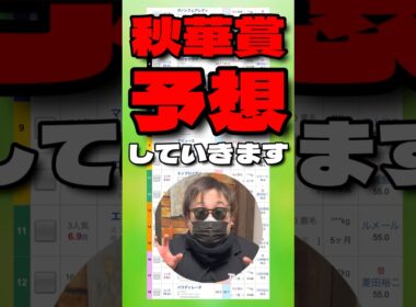 【秋華賞予想】 #インヴォーグ #カムニャック #エンブロイダリー #パラディレーヌ #テレサ #競馬予想 #ウマ娘 #シンデレラグレイ
