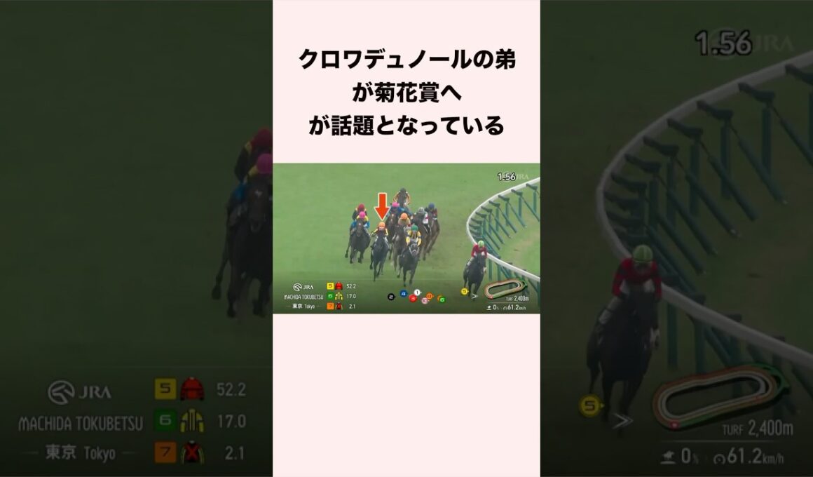 クロワデュノールの弟が菊花賞へが話題となっている #競馬 #競馬予想 #shorts