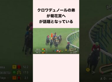 クロワデュノールの弟が菊花賞へが話題となっている #競馬 #競馬予想 #shorts