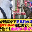 【宝塚記念2026】メイショウタバルが種牡馬入りしたら種付け料はいくら？スタッド先はBRF？←気になる【競馬】