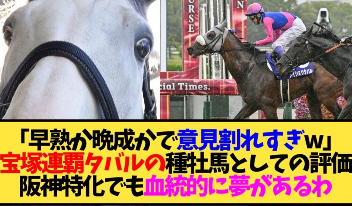 【宝塚記念2026】メイショウタバルが種牡馬入りしたら種付け料はいくら？スタッド先はBRF？←気になる【競馬】