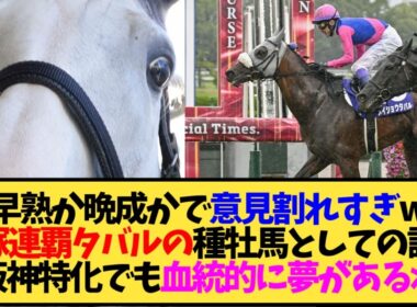 【宝塚記念2026】メイショウタバルが種牡馬入りしたら種付け料はいくら？スタッド先はBRF？←気になる【競馬】