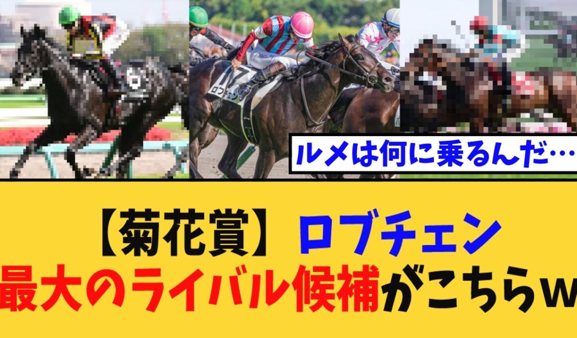 【菊花賞】「ロブチェンの三冠を拒む、最大のライバル候補がこちらｗ」に対する競馬民の反応集