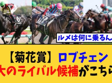 【菊花賞】「ロブチェンの三冠を拒む、最大のライバル候補がこちらｗ」に対する競馬民の反応集