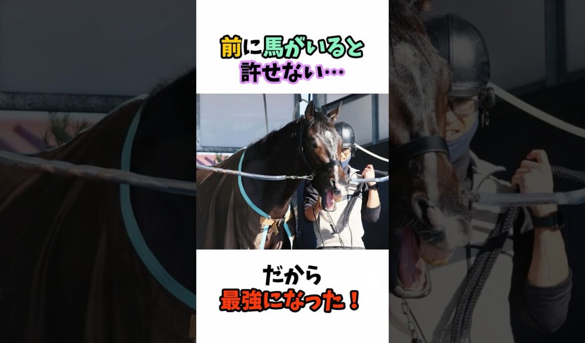 前に馬がいると許せない…だから最強になった！ #競馬#horse
