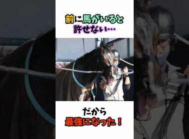 前に馬がいると許せない…だから最強になった！ #競馬#horse