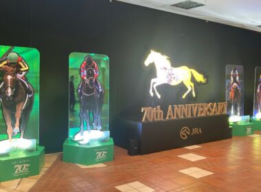 HERO'S DECORATION#東京競馬場＃安田記念