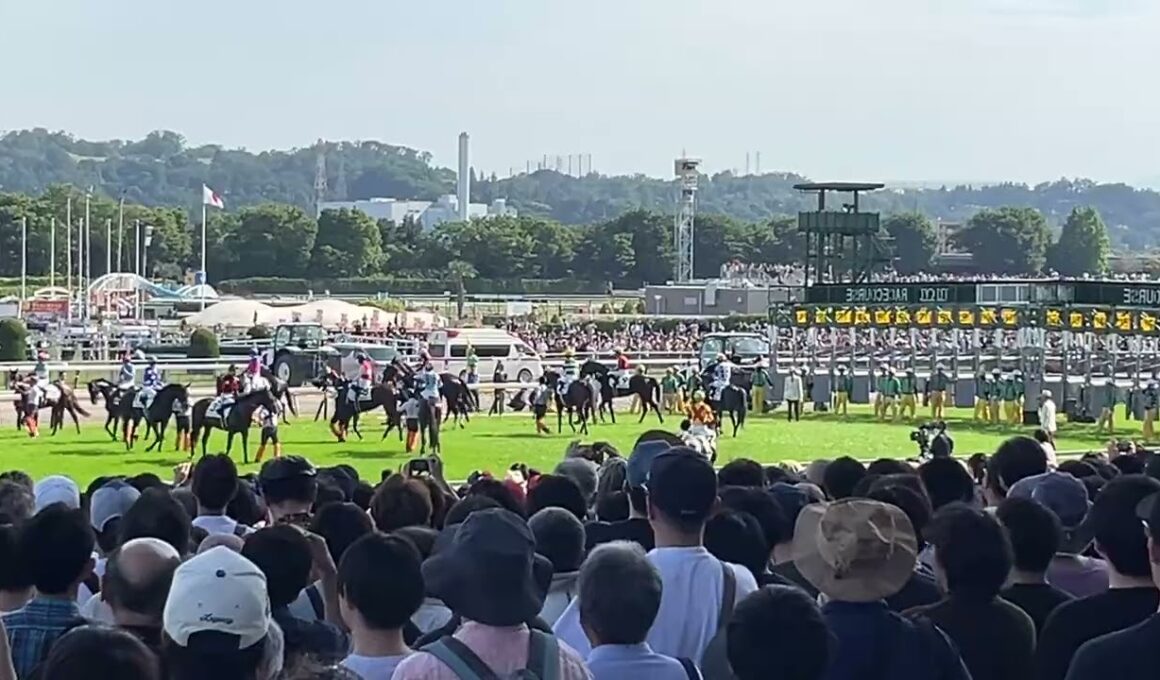 東京優駿　日本ダービー　ファンファーレから第1コーナーまで