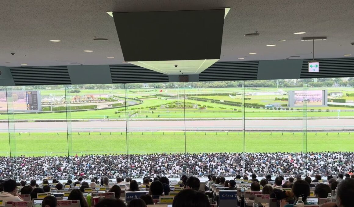 2025 スプリンターズステークス ウインカーネリアン 現地