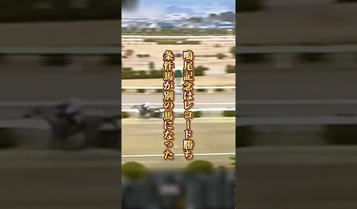 【タマモクロス物語①】一介のダート条件馬が"白い稲妻"になった日　タマモクロスの下剋上
