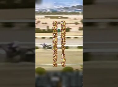 【タマモクロス物語①】一介のダート条件馬が"白い稲妻"になった日　タマモクロスの下剋上
