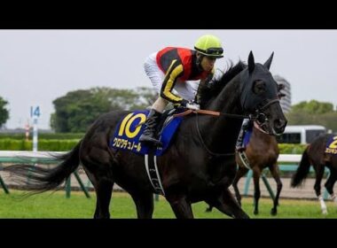 🐎兄は現役最強…その弟が覚醒へ！チャリングクロスが東京2400mで挑む運命の一戦🔥
