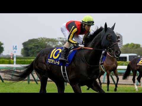 🐎兄は現役最強…その弟が覚醒へ！チャリングクロスが東京2400mで挑む運命の一戦🔥
