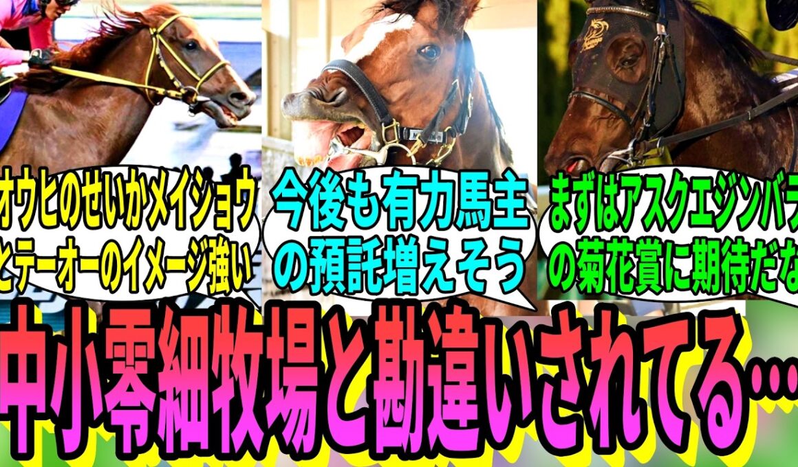 【競馬の反応集】「タバルの実家、三嶋牧場について」に対する視聴者の反応集