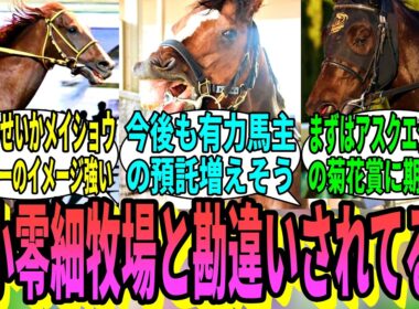 【競馬の反応集】「タバルの実家、三嶋牧場について」に対する視聴者の反応集