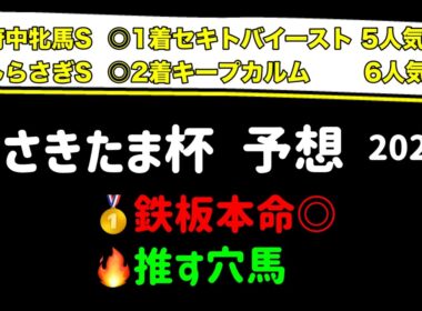 【競馬予想】　地方交流重賞　さきたま杯　予想　2026