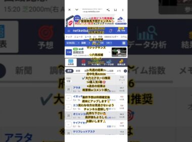 【函館記念2026】◎本命候補と☆穴馬候補