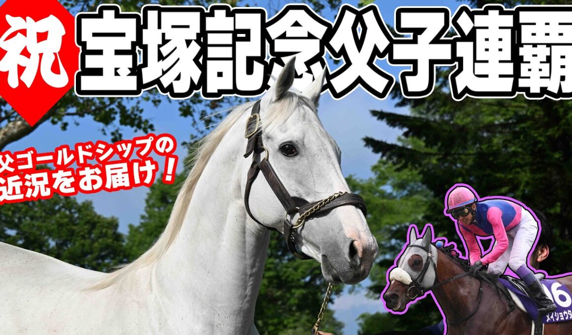 【史上初の宝塚記念父子連覇！】父ゴールドシップの最新映像