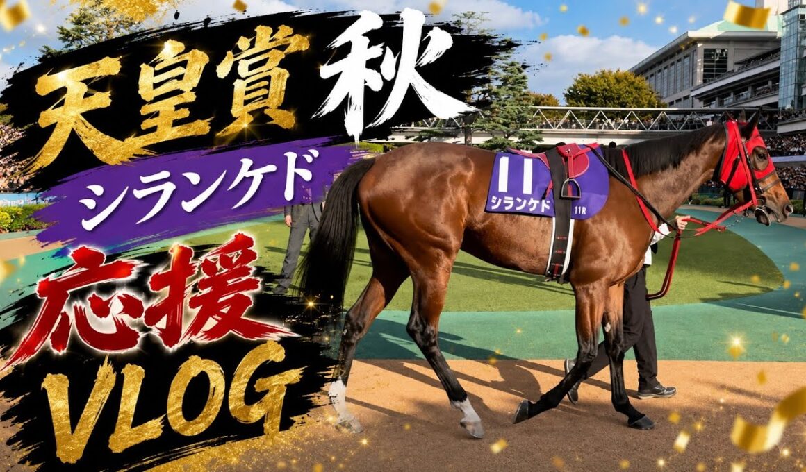 【競馬vlog】天皇賞秋シランケドを現地応援 #天皇賞秋 #シランケド  #vlog