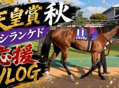 【競馬vlog】天皇賞秋シランケドを現地応援 #天皇賞秋 #シランケド  #vlog