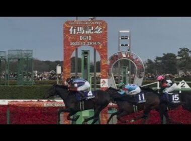 ［現地観戦］2025.12.27（土）中山11R 第41回ホープフルステークス（G1）