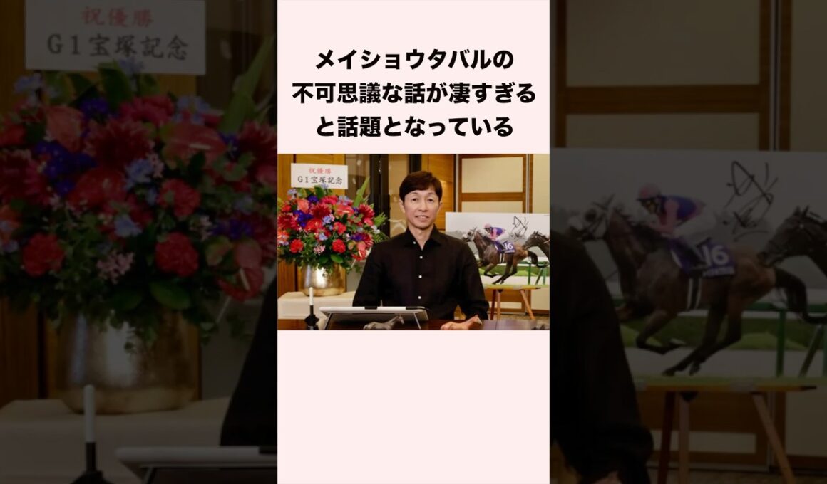 メイショウタバルの不可思議な話が凄すぎると話題となっている #競馬 #競馬予想 #shorts