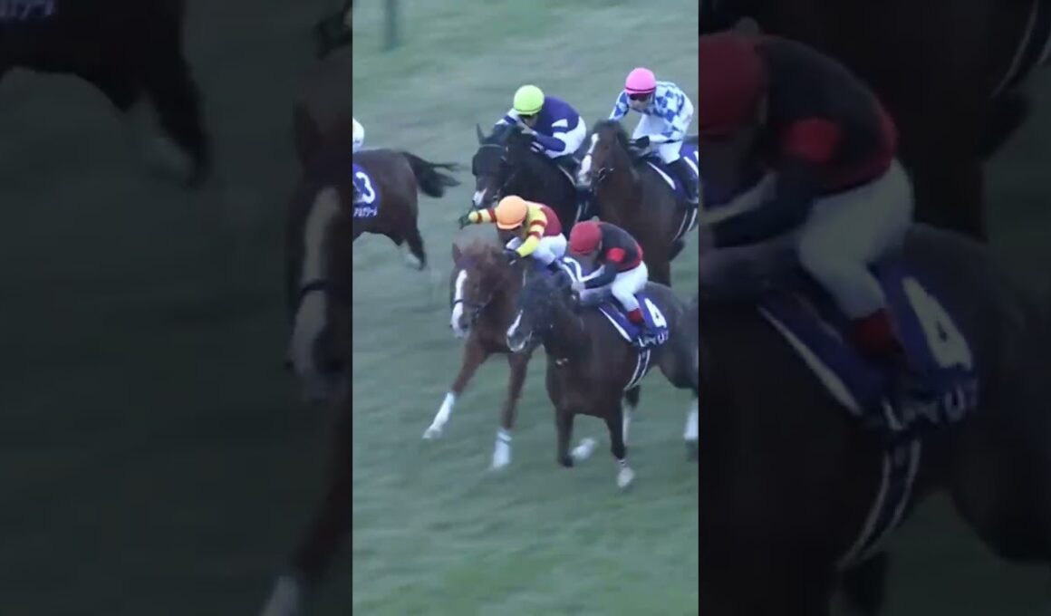 朝日杯FS2021 ドウデュース　武豊