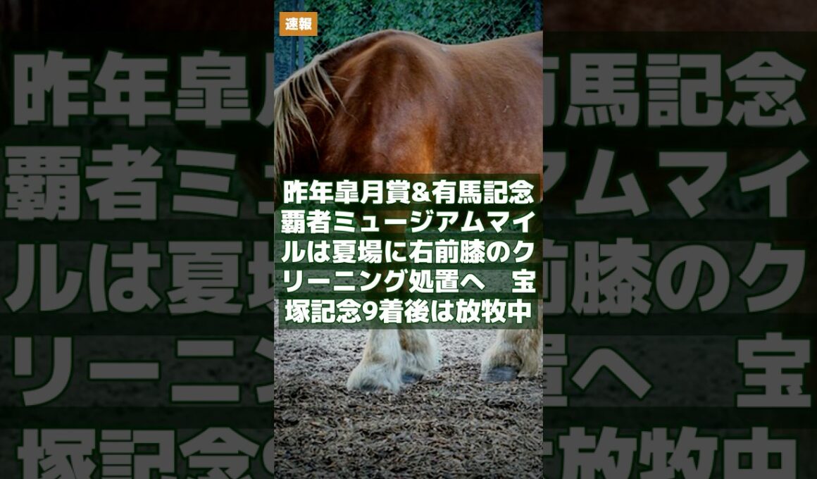 6.24｜競馬速報｜昨年皐月賞&有馬記念覇者ミュージアムマイルは夏場に右前膝のクリーニング処置へ　宝塚記念9着後は放牧中 #Shorts