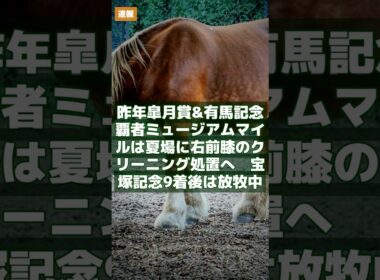 6.24｜競馬速報｜昨年皐月賞&有馬記念覇者ミュージアムマイルは夏場に右前膝のクリーニング処置へ　宝塚記念9着後は放牧中 #Shorts