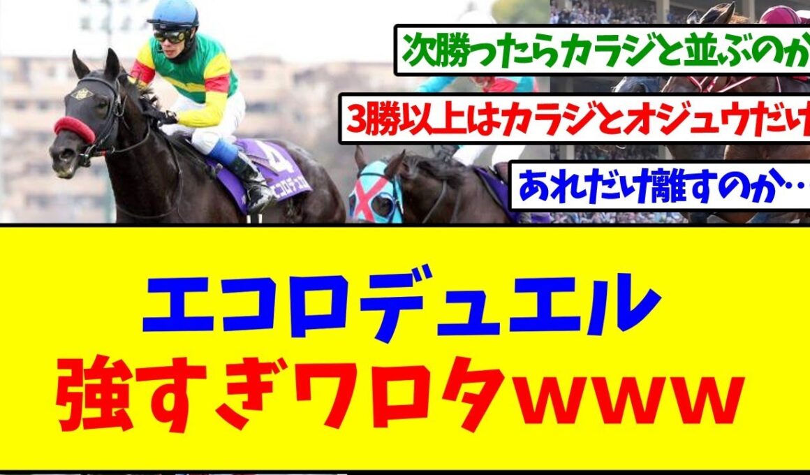 【中山大障害】エコロデュエル強すぎワロタｗｗｗ【反応集】