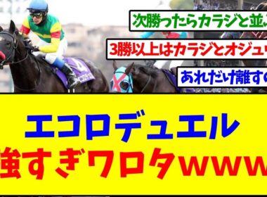 【中山大障害】エコロデュエル強すぎワロタｗｗｗ【反応集】