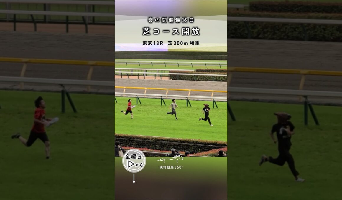 東京13R 芝300m稍重｜芝コース開放 #競馬 #現地映像 #東京競馬場 #競人 #全力疾走 #芝コース開放