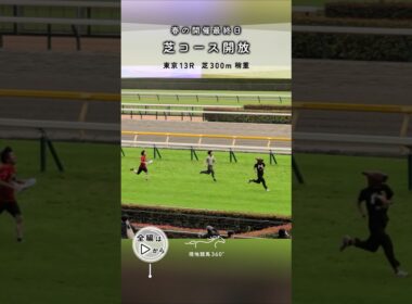 東京13R 芝300m稍重｜芝コース開放 #競馬 #現地映像 #東京競馬場 #競人 #全力疾走 #芝コース開放