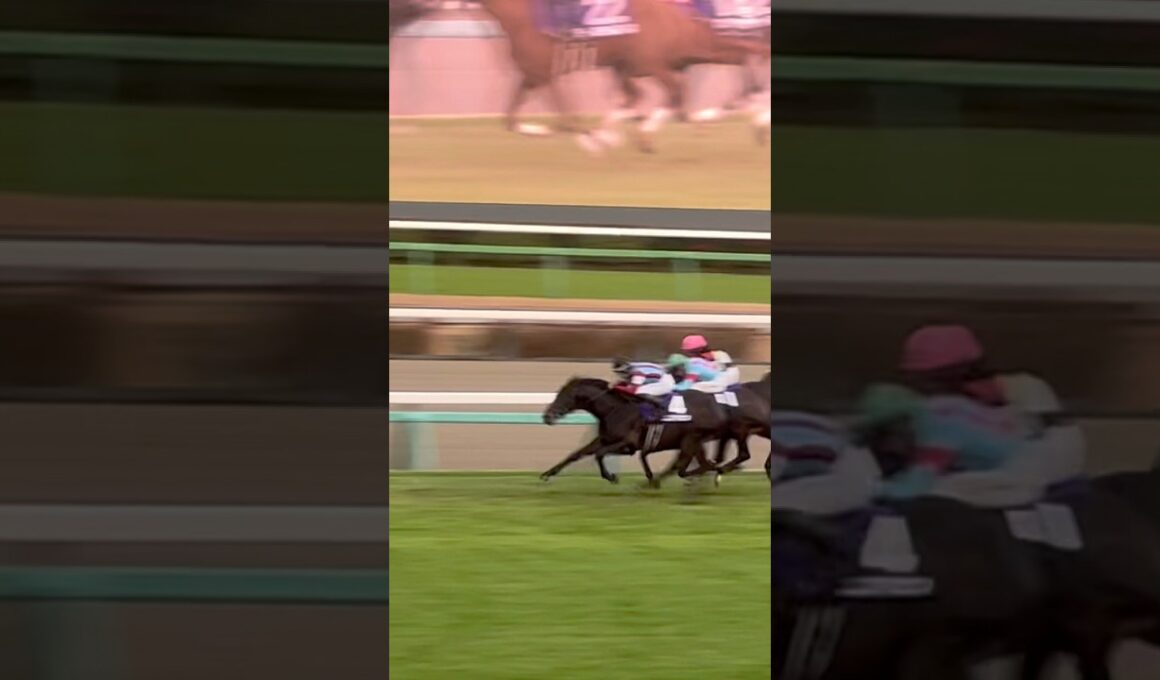 【ホープフルステークス2025】ロブチェン 現地 直線 #horse # #ホープフルステークス