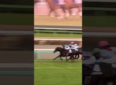 【ホープフルステークス2025】ロブチェン 現地 直線 #horse # #ホープフルステークス