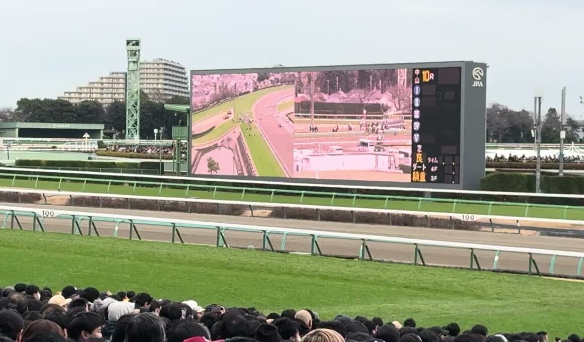 中山大障害　2025 煽りpv