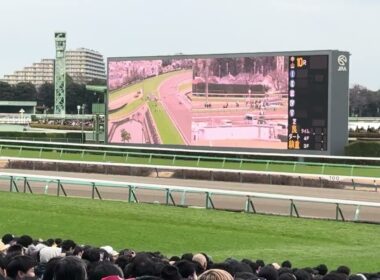 中山大障害　2025 煽りpv
