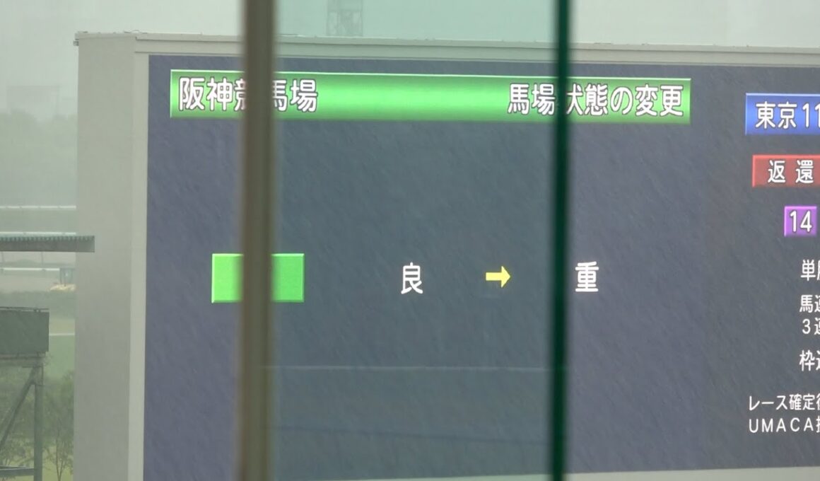 【現地 本馬場入場】2026 G1 宝塚記念 ザ・チャンピオン 突然の豪雨で良馬場から一気に重馬場に【阪神競馬場】