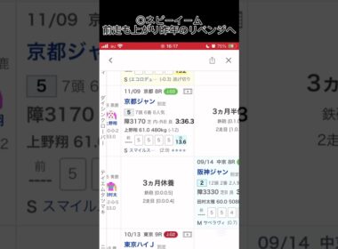 中山大障害の予想です！さあ王者へ！ #競馬 #中山競馬予想 #中山競馬場 #中山大障害
