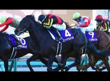 🏇有馬記念馬に緊急処置…ミュージアムマイルを襲った試練とは