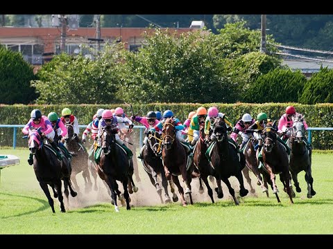 【競馬】中山大障害＆阪神カップ＆ホープフルステークス　みんなで見よう
