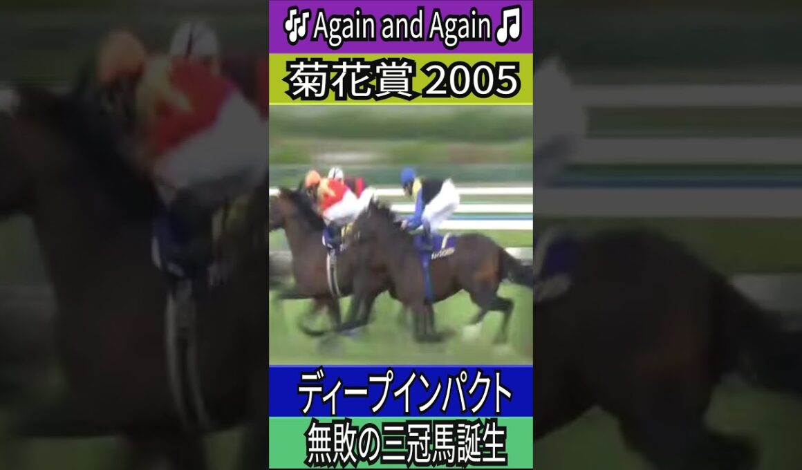 無敗の三冠馬誕生 【菊花賞 2005】 ディープインパクト #菊花賞  #ディープインパクト #武豊