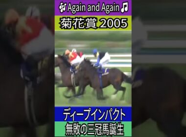 無敗の三冠馬誕生 【菊花賞 2005】 ディープインパクト #菊花賞  #ディープインパクト #武豊