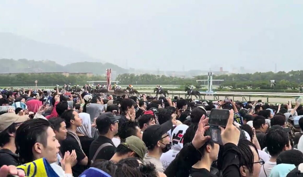 宝塚記念G1 2026 .6.14 メイショウタバルお父さんゴールドシップに並んで2連覇ー✨おめでとーーーー(・∀・)✨